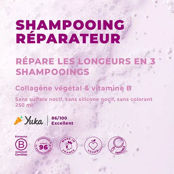 Shampoo Reparador Energie Fruit Collagen para Cabelos Muito Danificados 250ml