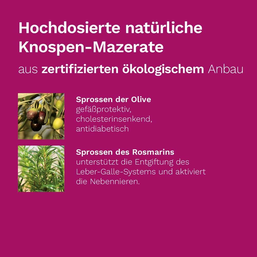 DR. KOLL Stoffwechsel Plus*