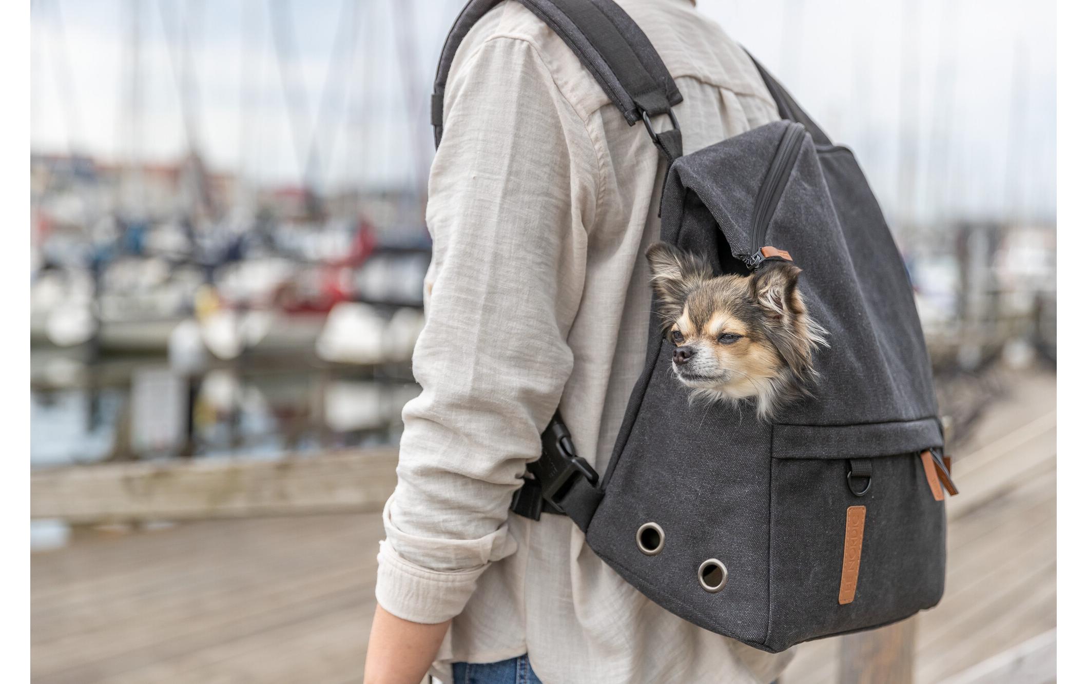 Tiertransport-Rucksack Be Nordic BjornTier-Transporttasche