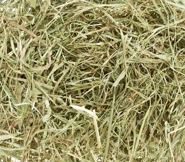 Dehner Lieblinge Wiesenheu, 800 g