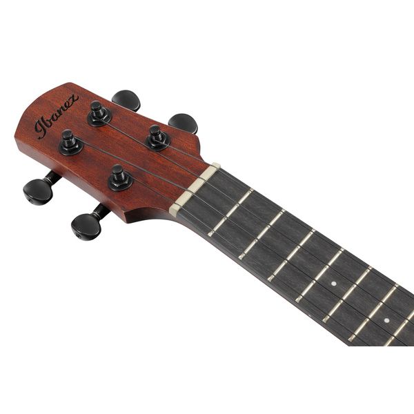 Ibanez AUC14-OVL