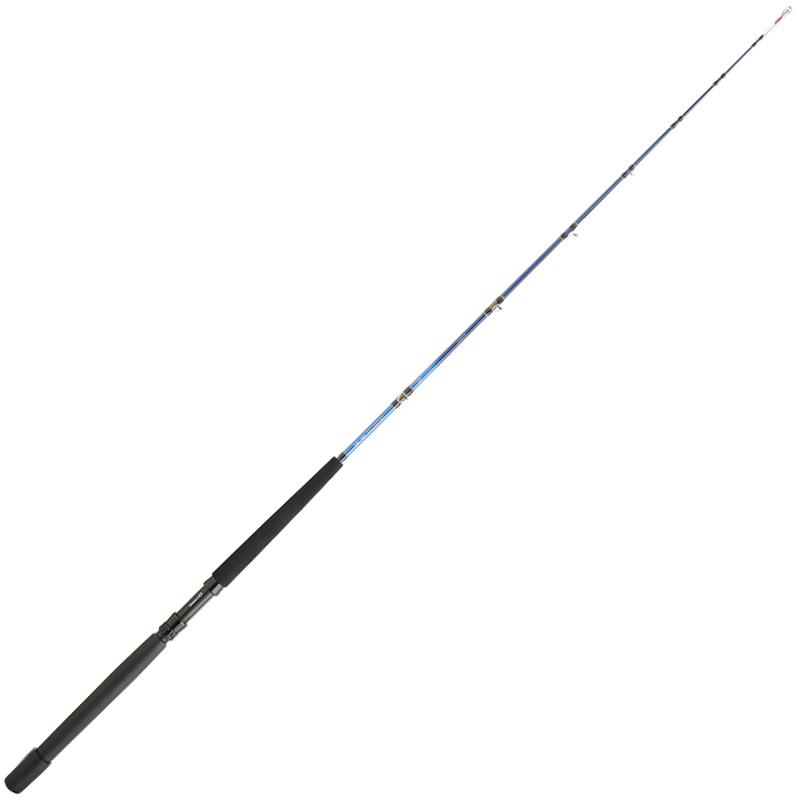 Canne Traine Daiwa Tanacom Boat