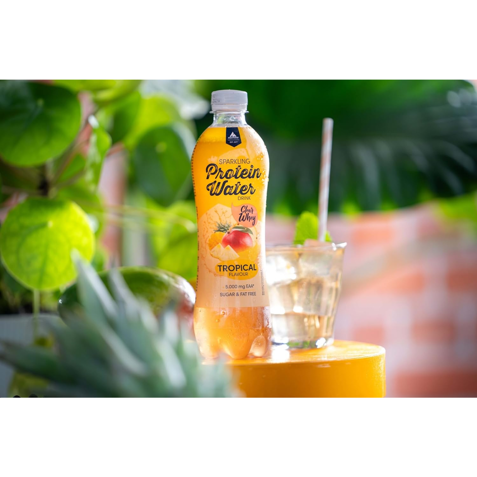 Sparkling Protein Water (500ml)