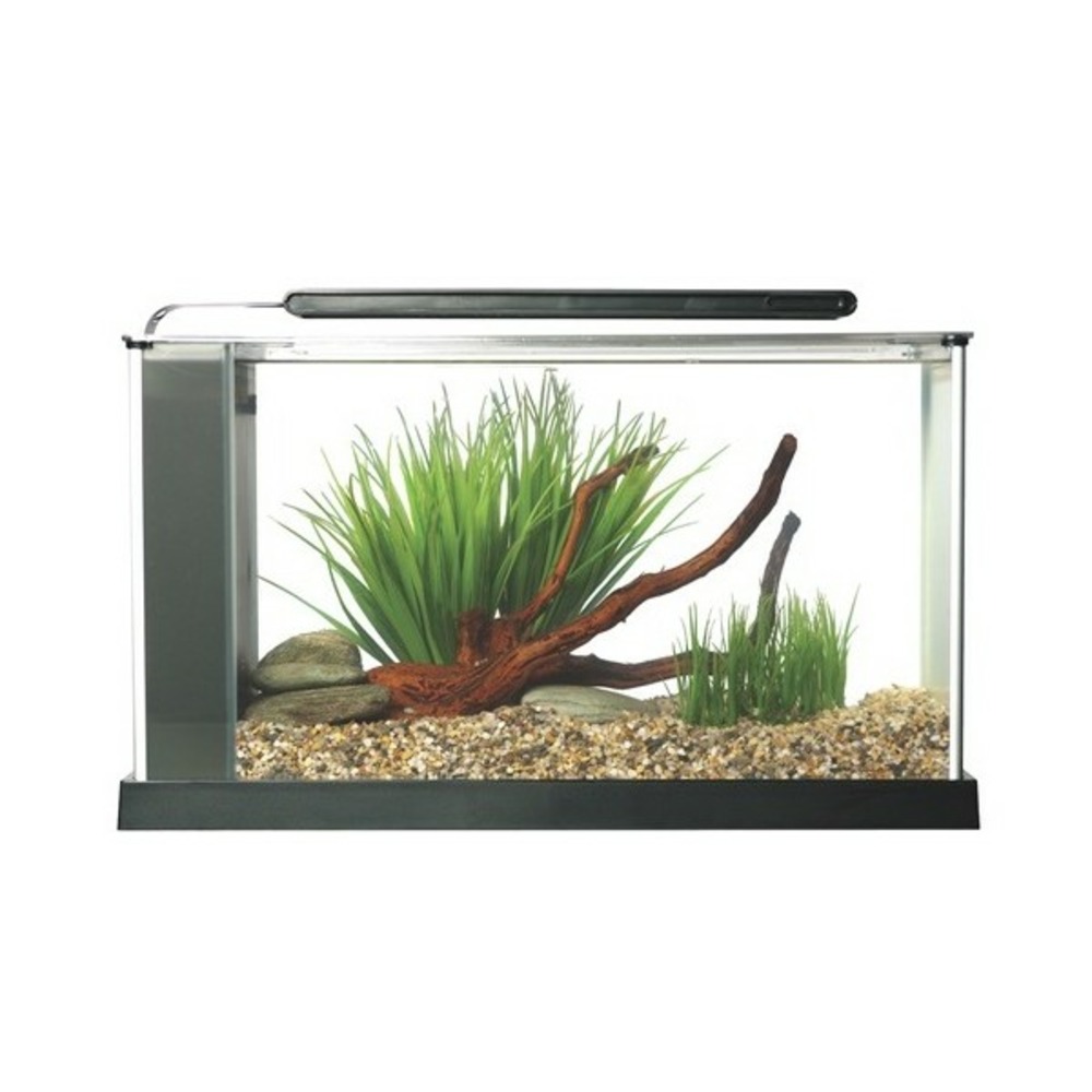 Aquarium spec noir 19l