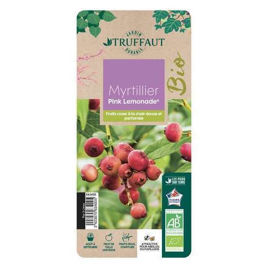 Myrtillier 'Pink Lemonade®' bio : pot de 3 litres