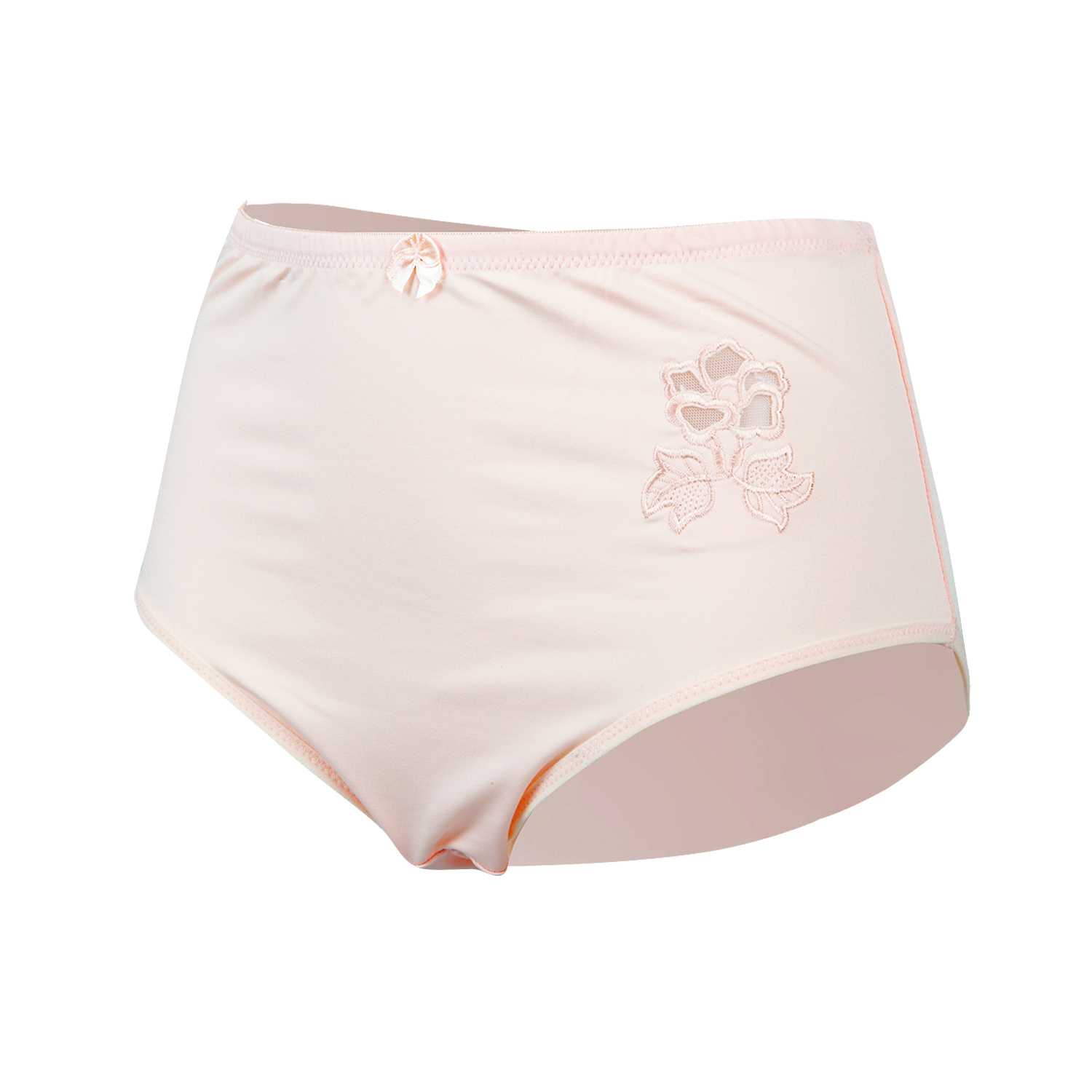 Damen Slip Microfaser mit Stickerei Gr. 40/42–52/54 pastellfarben 2er 6fach