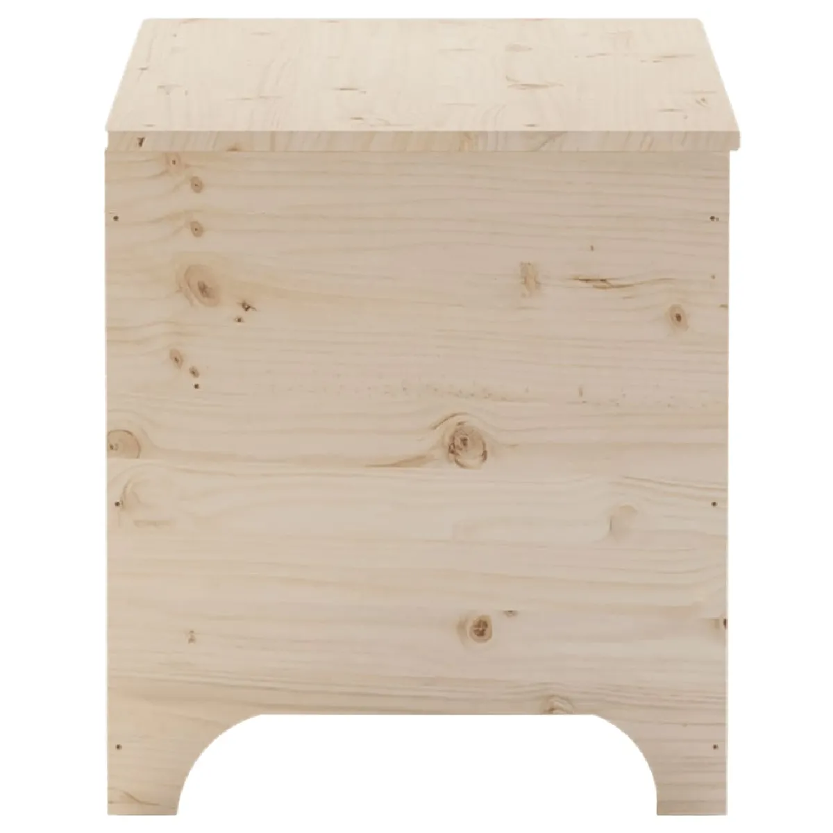 vidaXL Boîte de rangement RANA