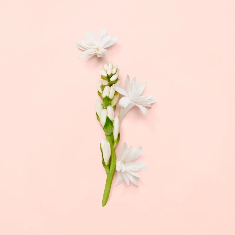 Gucci Bloom EDP 30 ml