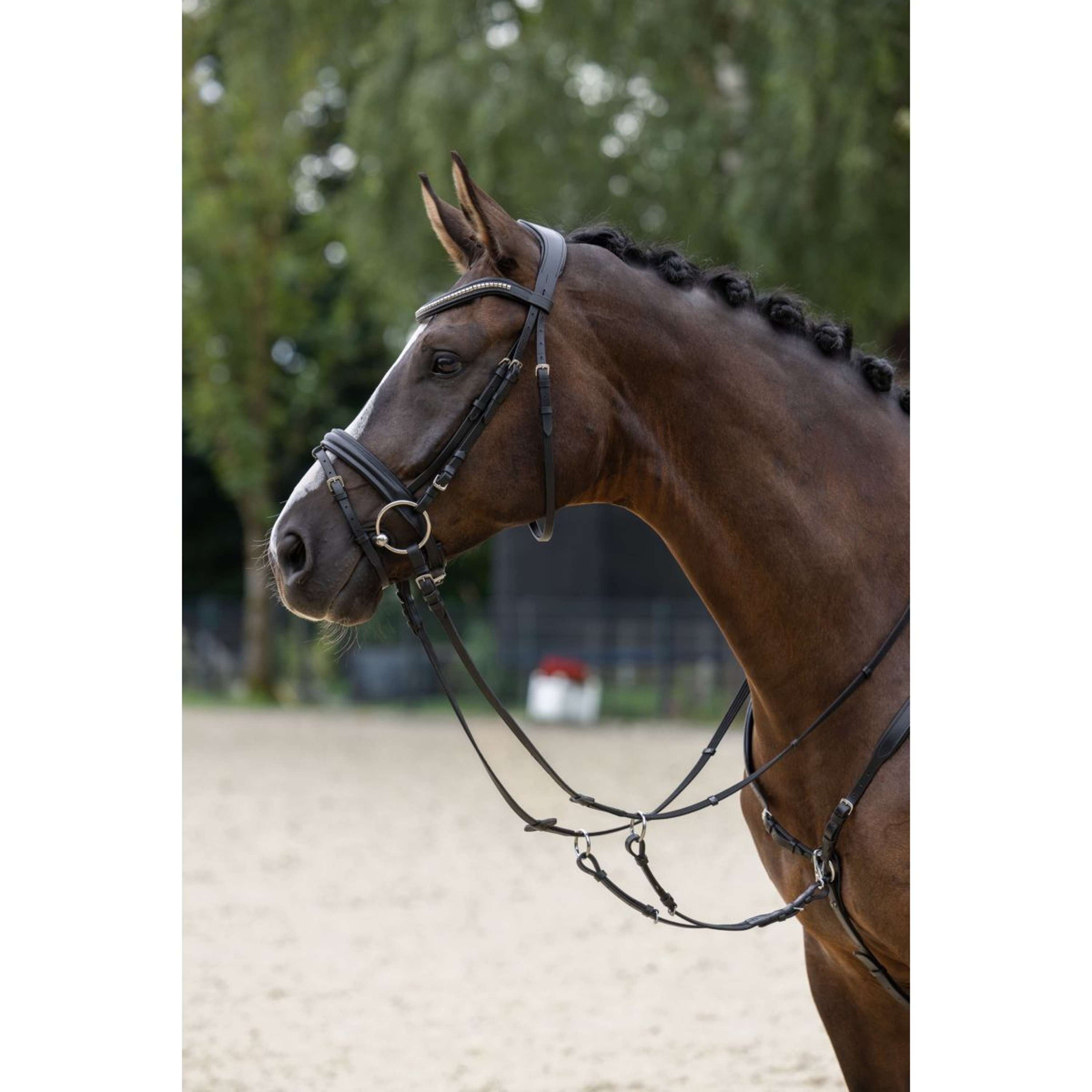 Covalliero Hoofdstel Clincher Zwart