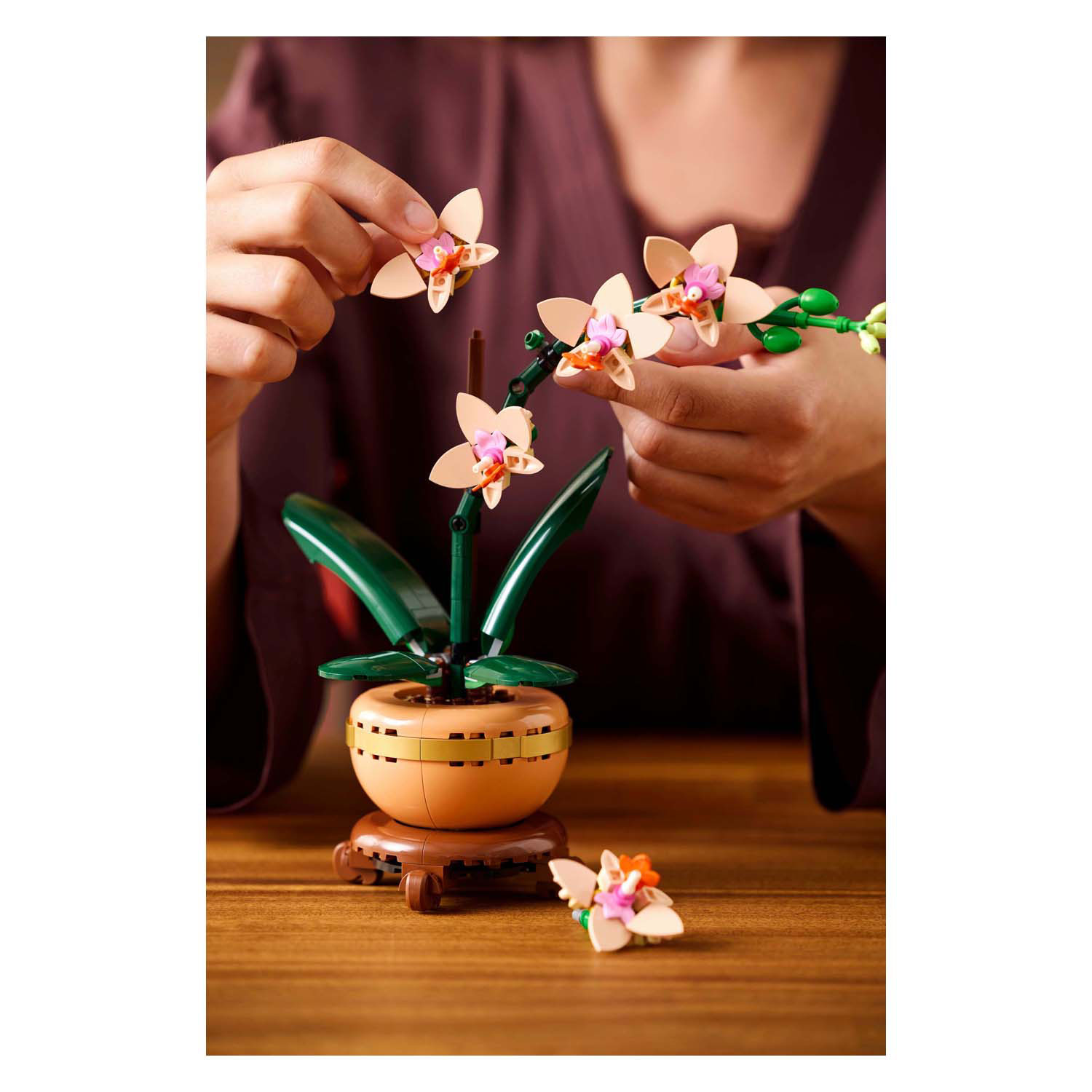 LEGO Botanicals 10343 Miniorchidee
