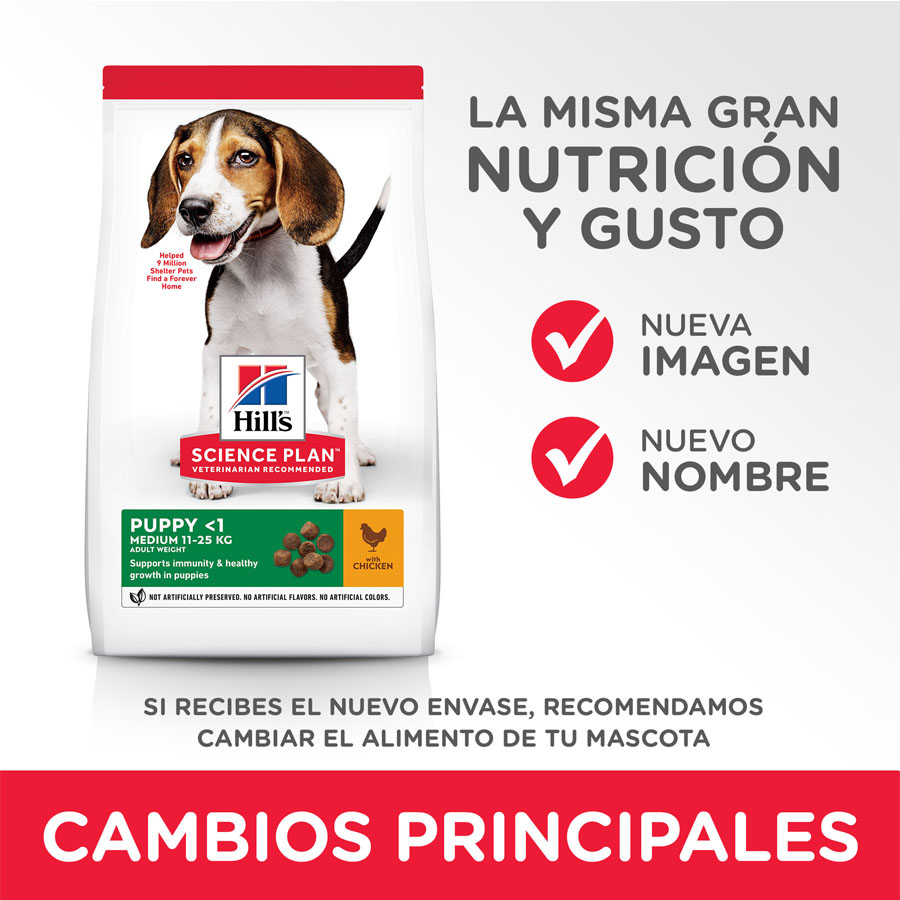 Hill's Science Plan Puppy Medium pollo pienso para perro