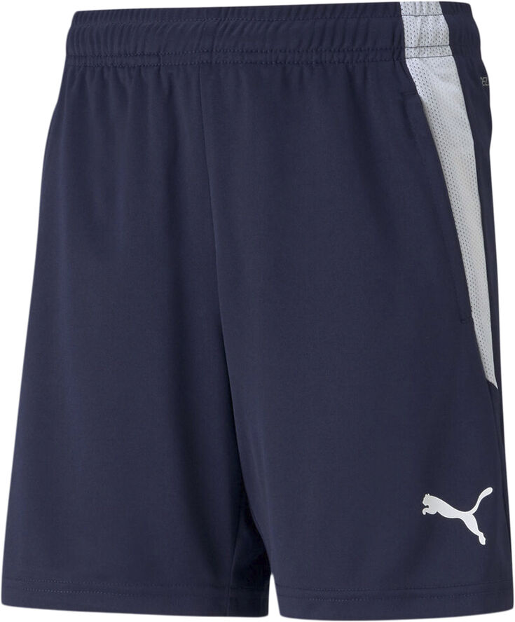 Puma Teamliga Training shorts Blå