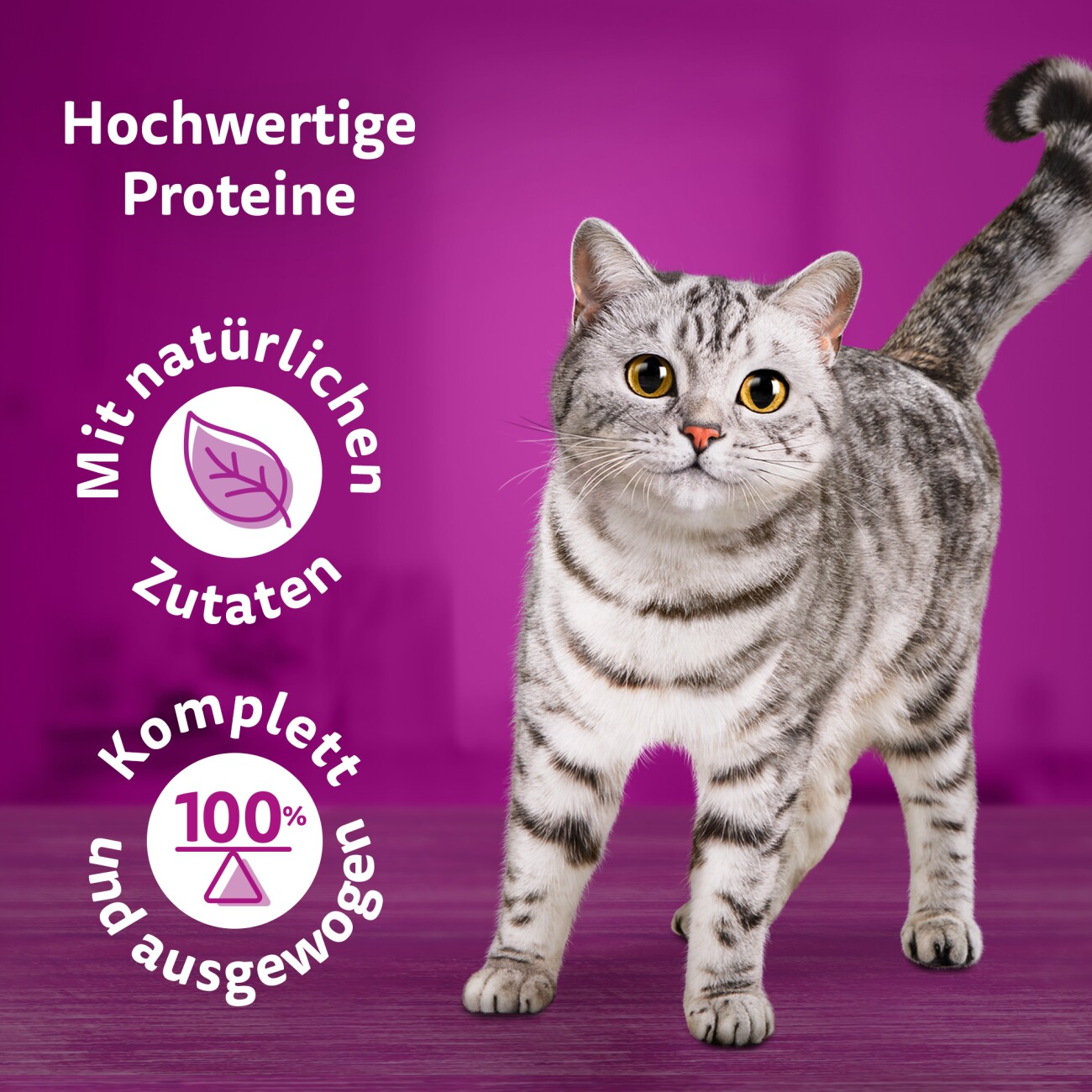 Whiskas Pure Delight Multipack Geflügel Ragout in Gelee 12 x 85g