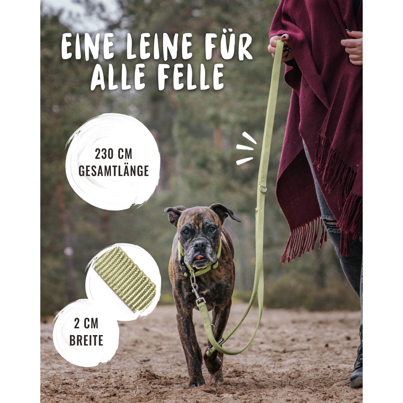 Rudelkönig Hundeleine - Führleine Frida grün 2,3 m