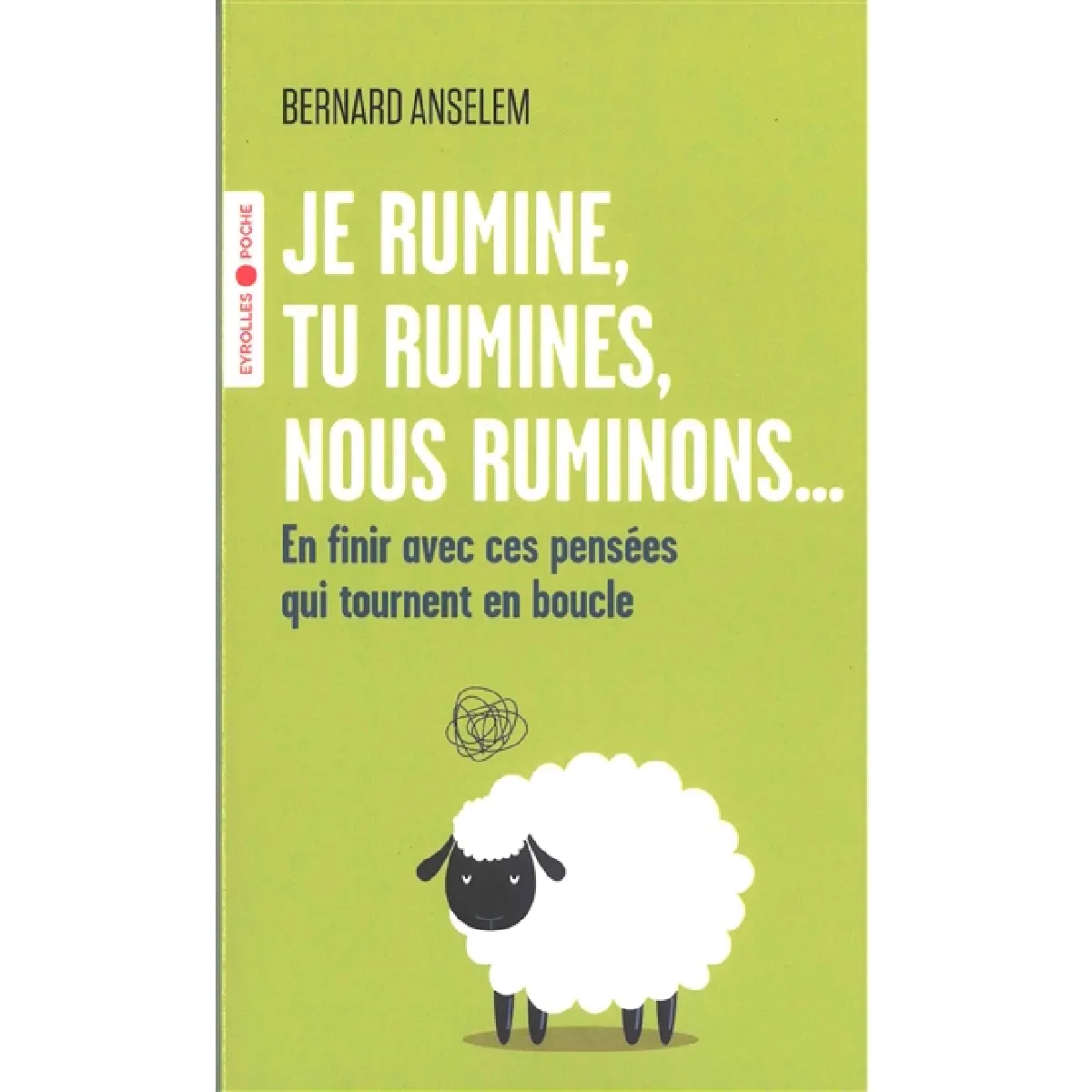 Je rumine, tu rumines, nous ruminons... : en finir avec ces pensées qui tournent en boucle · Occasion