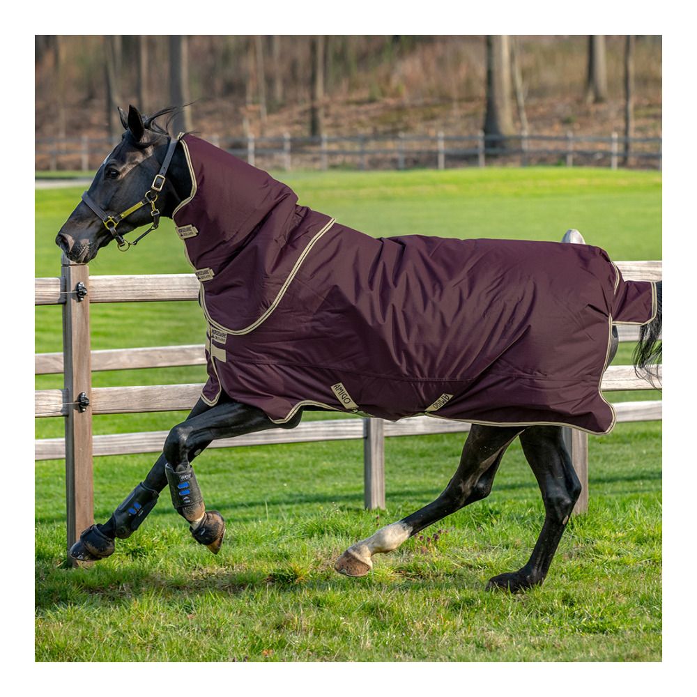 Horseware AMIGO HERO RIPSTOP+ 100G - Couverture de paddock + couvre-cou fig/navy/tan