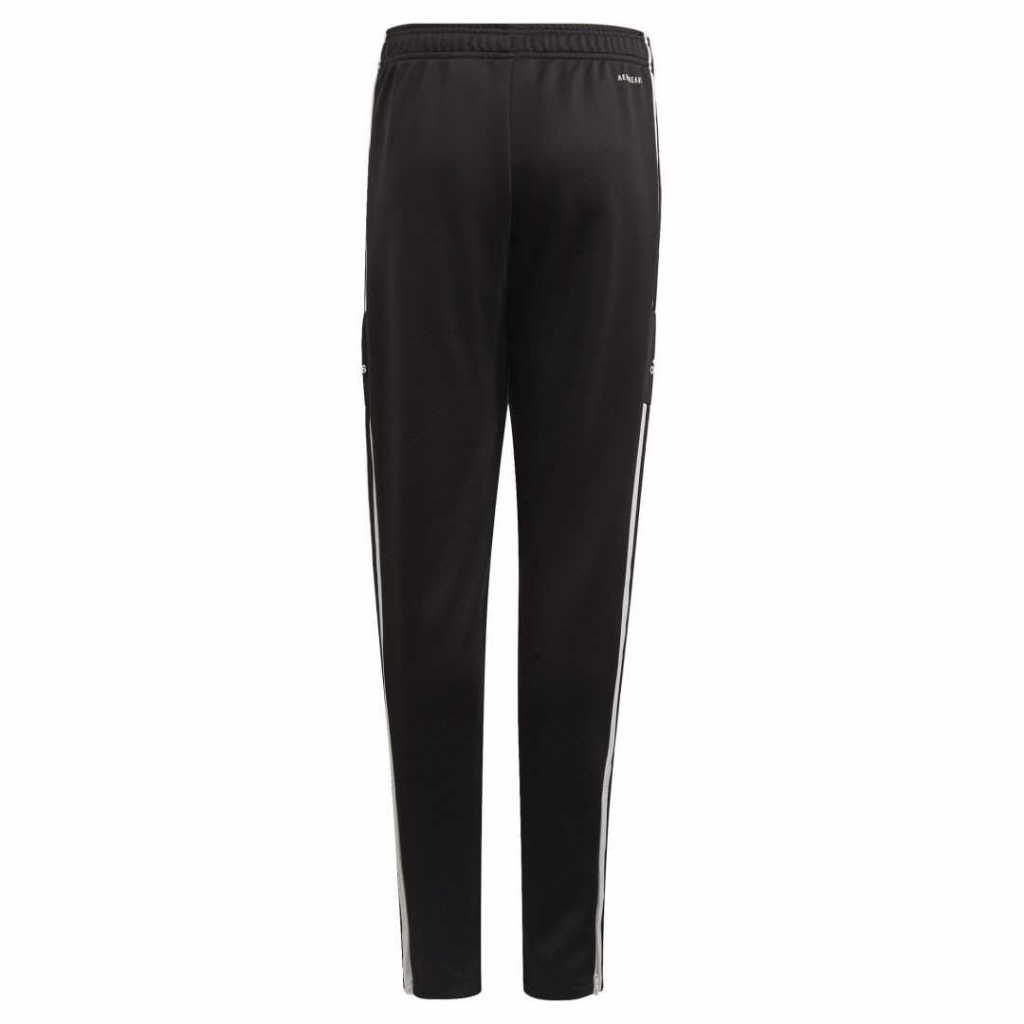 Adidas SQ21 TR PNT Y