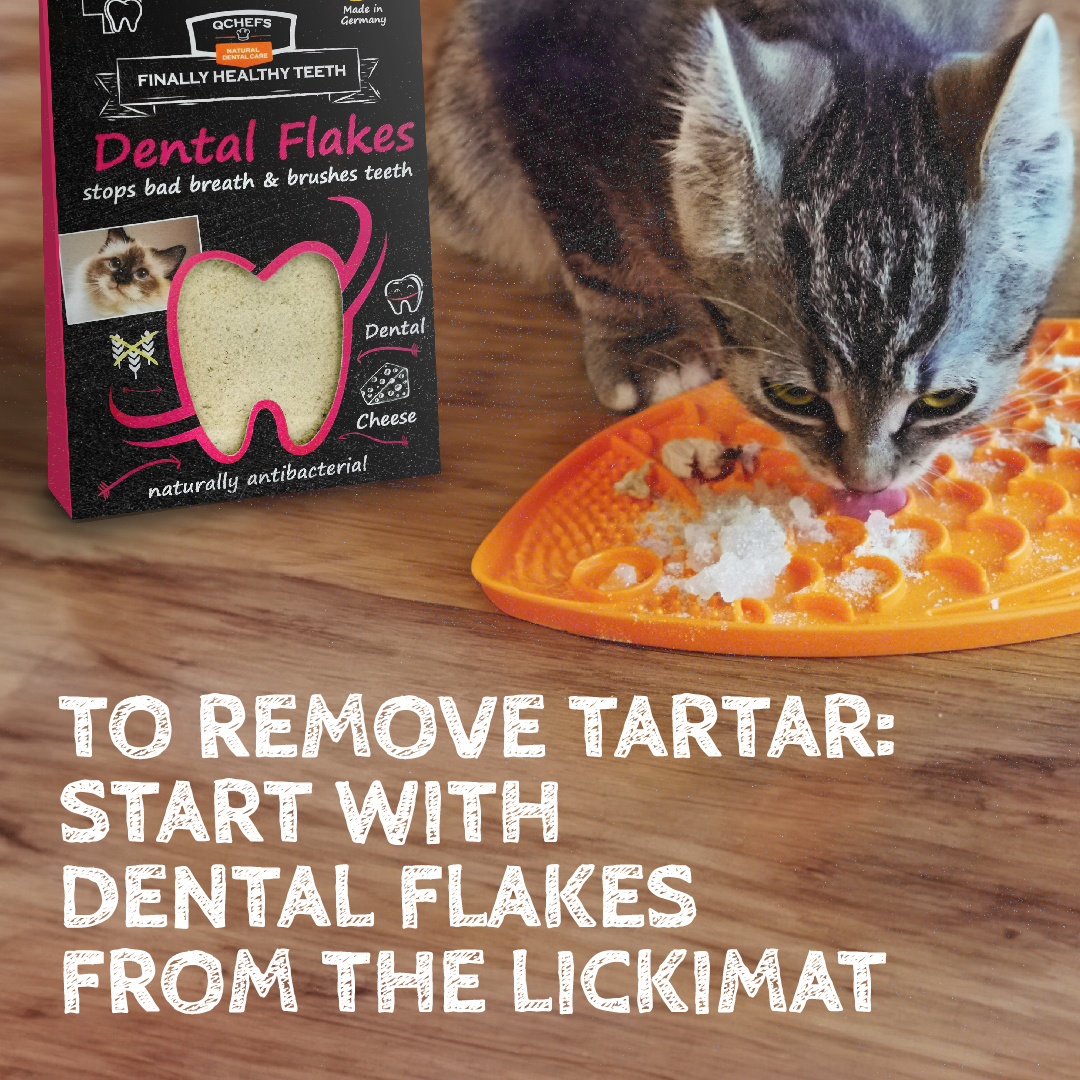 Qchefs Dental Flakes - Katten