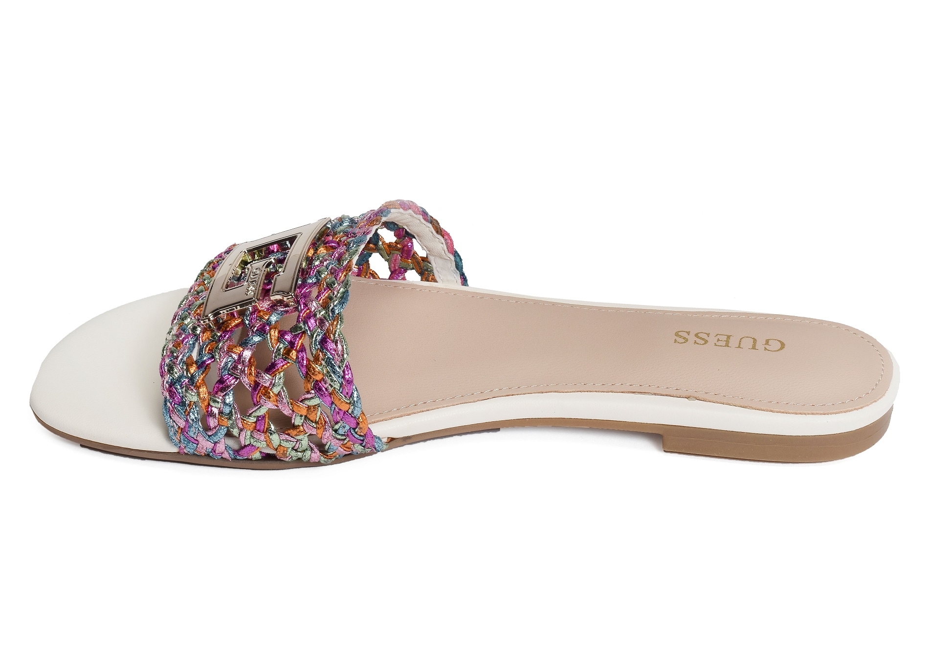 Tassi multicolore