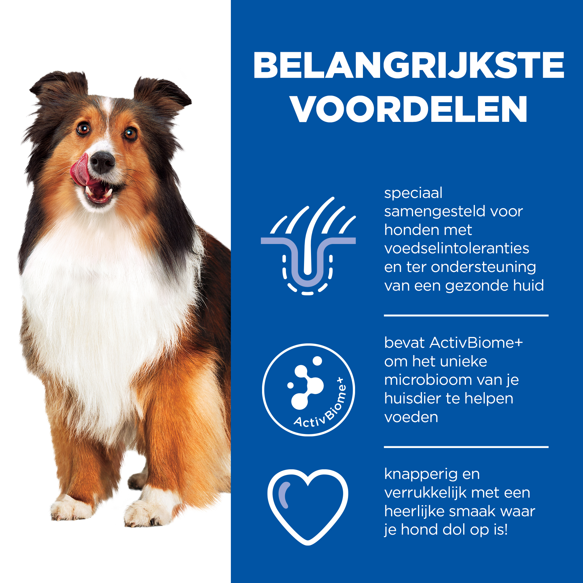 Hill's - Hypoallergenic Treats - Canine