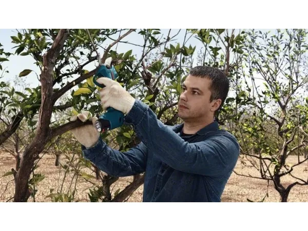 Bosch BOSCH.SEKATOR 12V 25mm PRO PRUNER SOLO B06019K1020 - SOLO