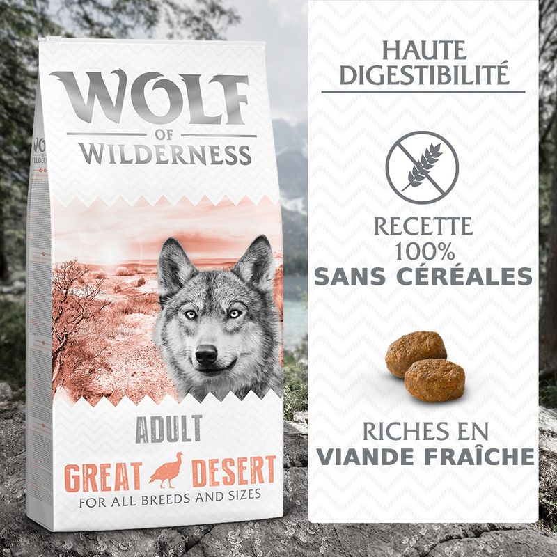 Wolf of Wilderness Adulte Great Desert, dinde