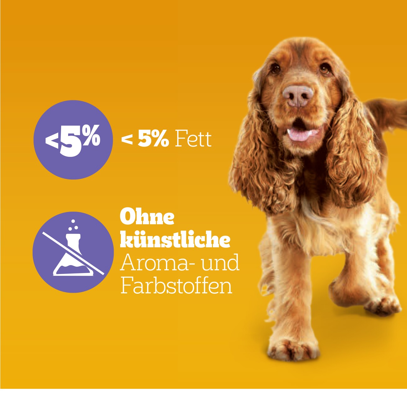 Pedigree Multivitamins Verdauung 180g