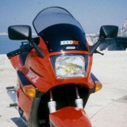 Bulle Ermax Haute protection - Gris