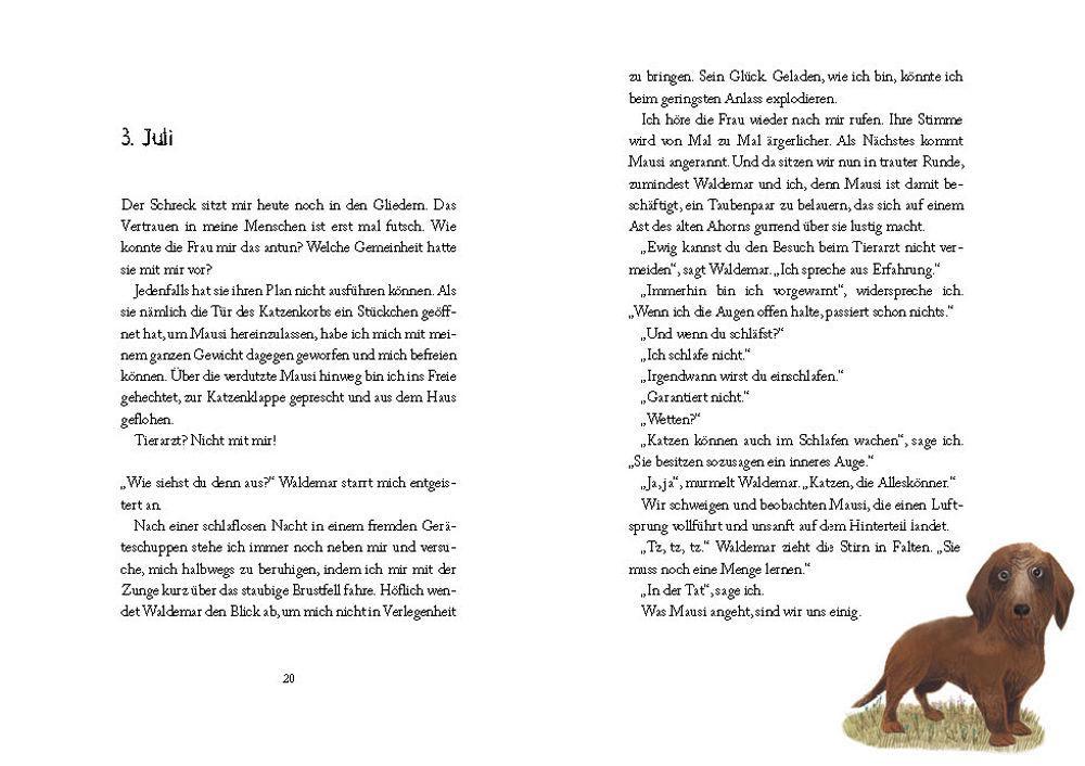 Alle Pfoten voll zu tun / Kater-Reihe Bd.3