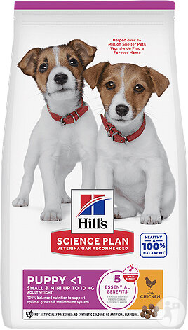Hill's Science Plan Puppy Small & Mini Croquettes Au Poulet Pour Chiot 6kg