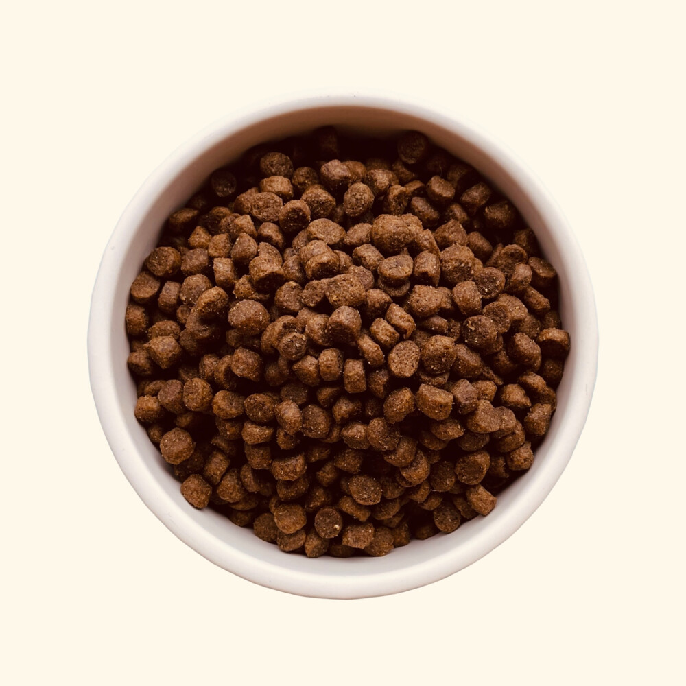 Teds Hondenvoer met Insecten Puppy 2,5 kg
