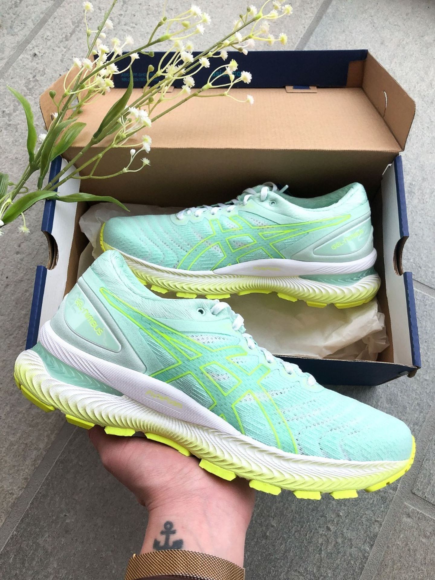 Gel-Nimbus 22