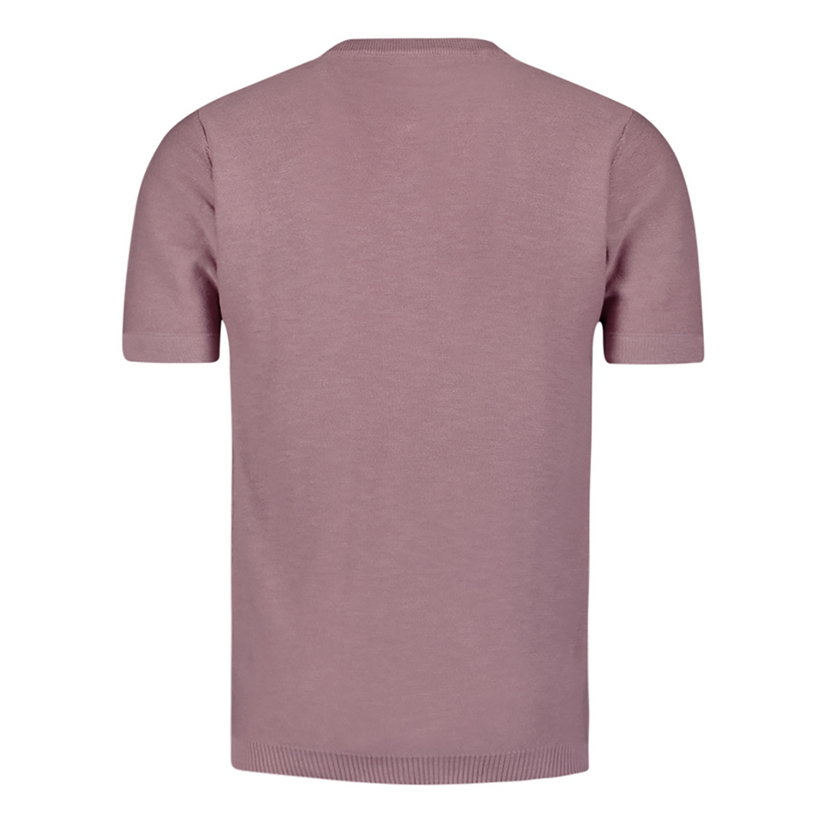 Heren Polo 240030 Roy