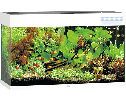 JUWEL Rio 125 aquarium met LED-verlichting, pomp, filter, verwarming (zonder kast), wit
