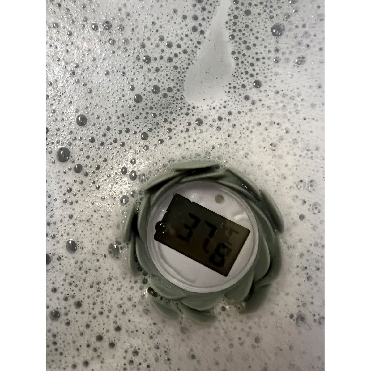 petit trucpetit truc   Badethermometer Nénuphar avocado
