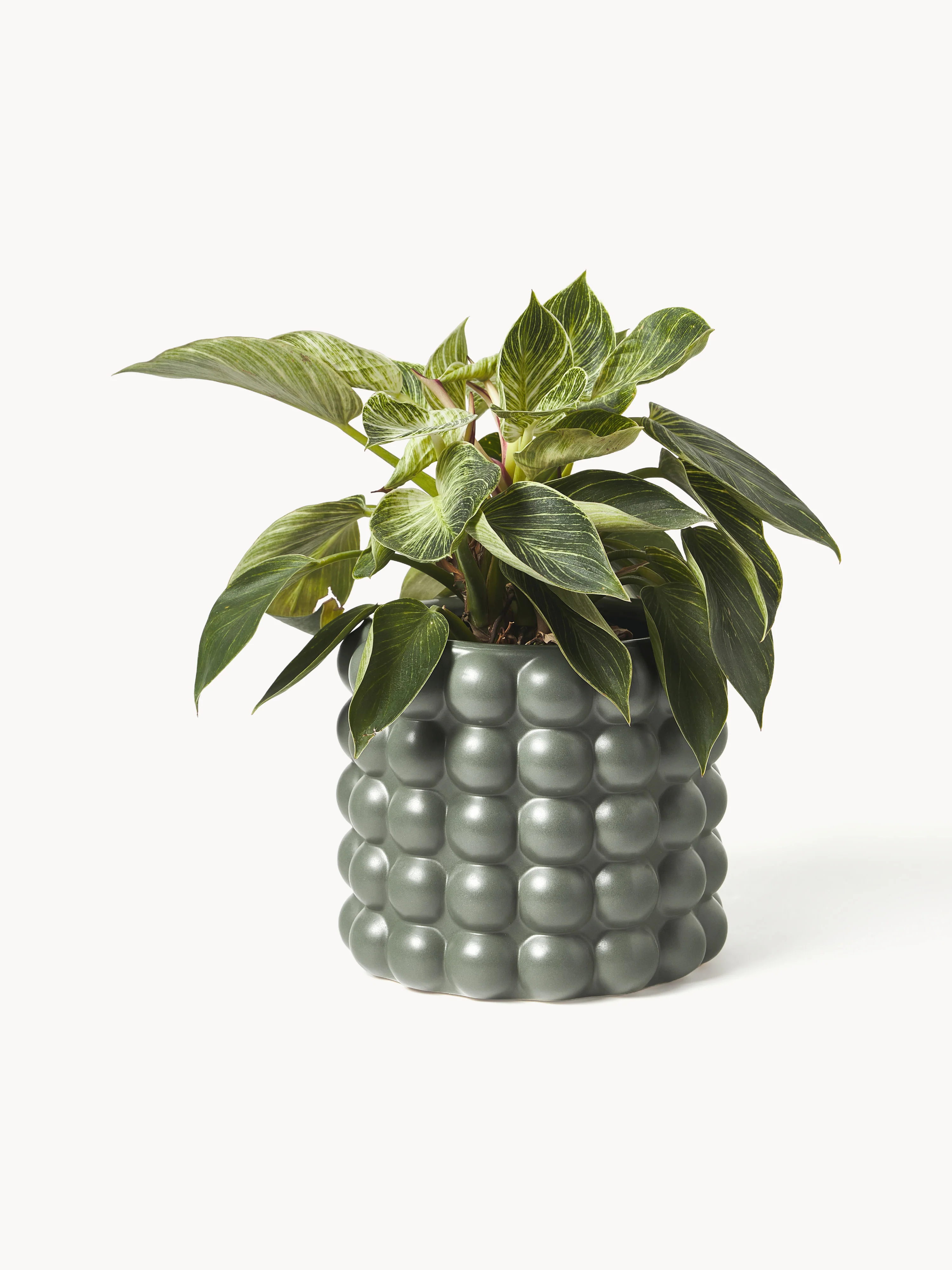 Plantenpot Bob van keramiek, H 18 cm