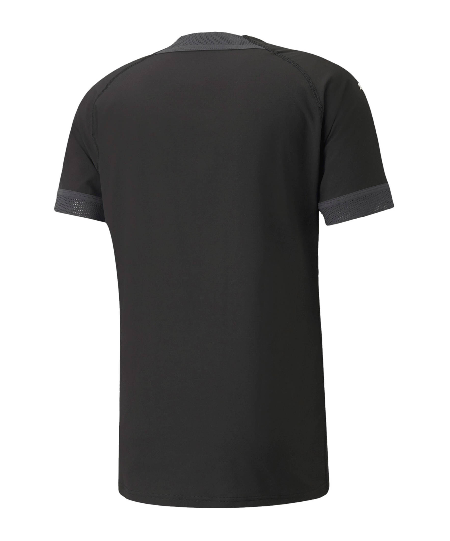 Puma| Herren Fußball - Teamsport Textil - Trikots teamFINAL Ultraweave Trikot