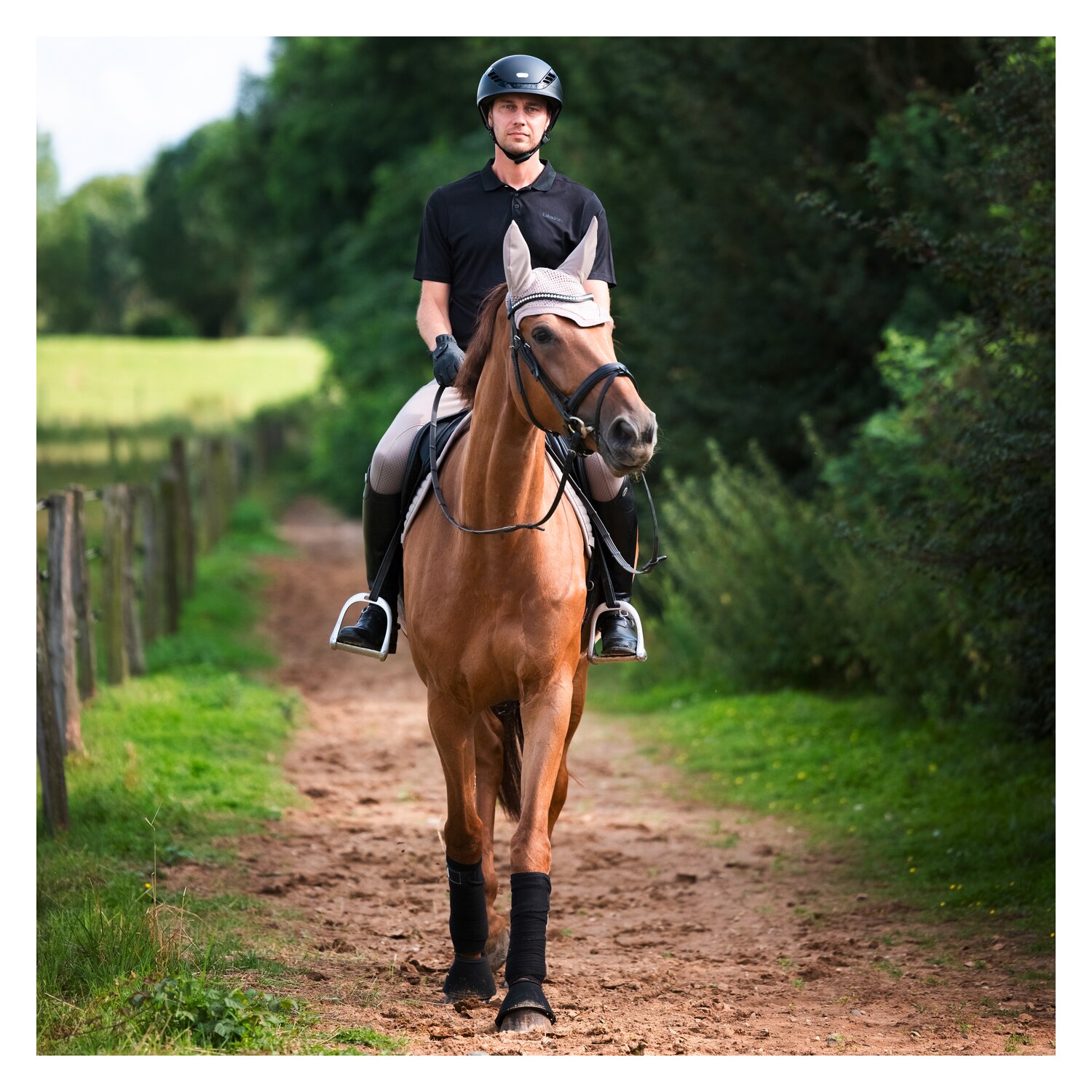 ABUS PIKEUR Reithelm AirLuxe Pure  - black