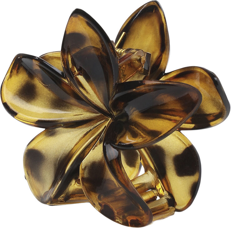Sui Ava Plumeria Clarity Big Golden brown