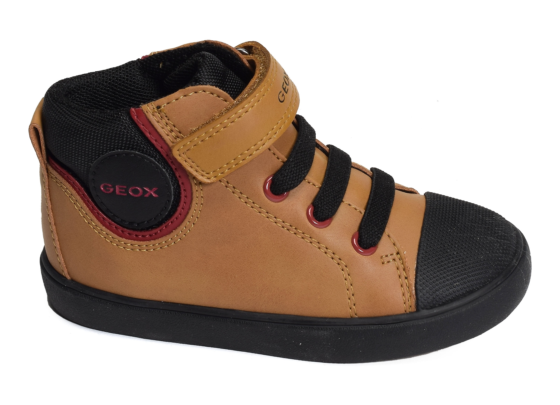B gisli bc camel