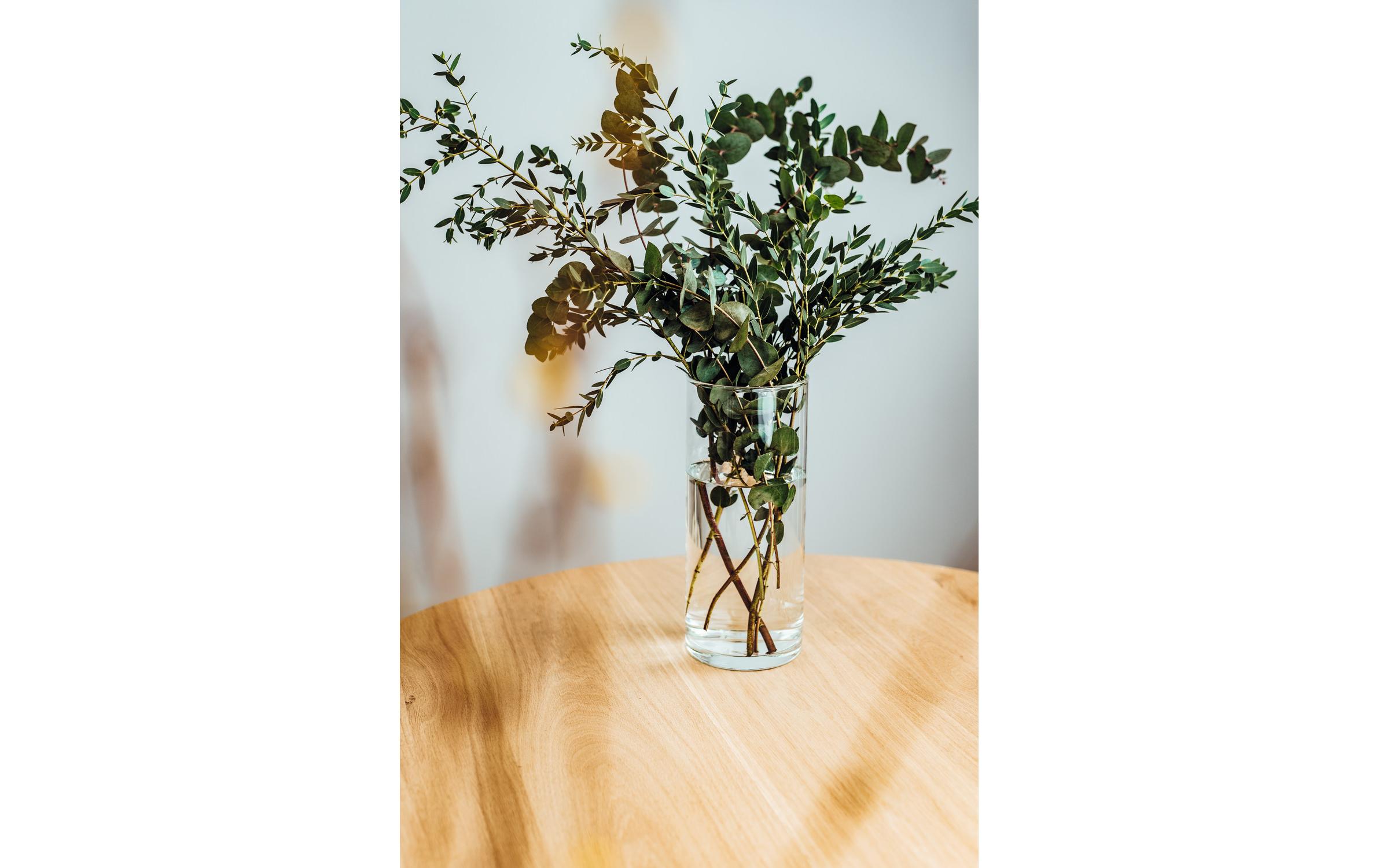Vase Basic 26 cm TransparentVase aus Kalk-Natron-Glas, Transparent