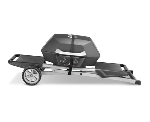 Austin and Barbeque AABQ - Superior Portable 2 Burner Gas Grill