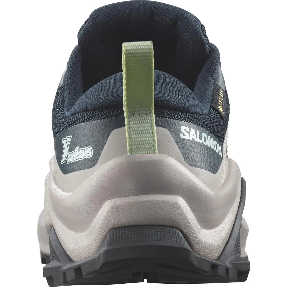 Salomon X Raise Gore-Tex Carbon / Ashes Of Roses / Clearly Aqua