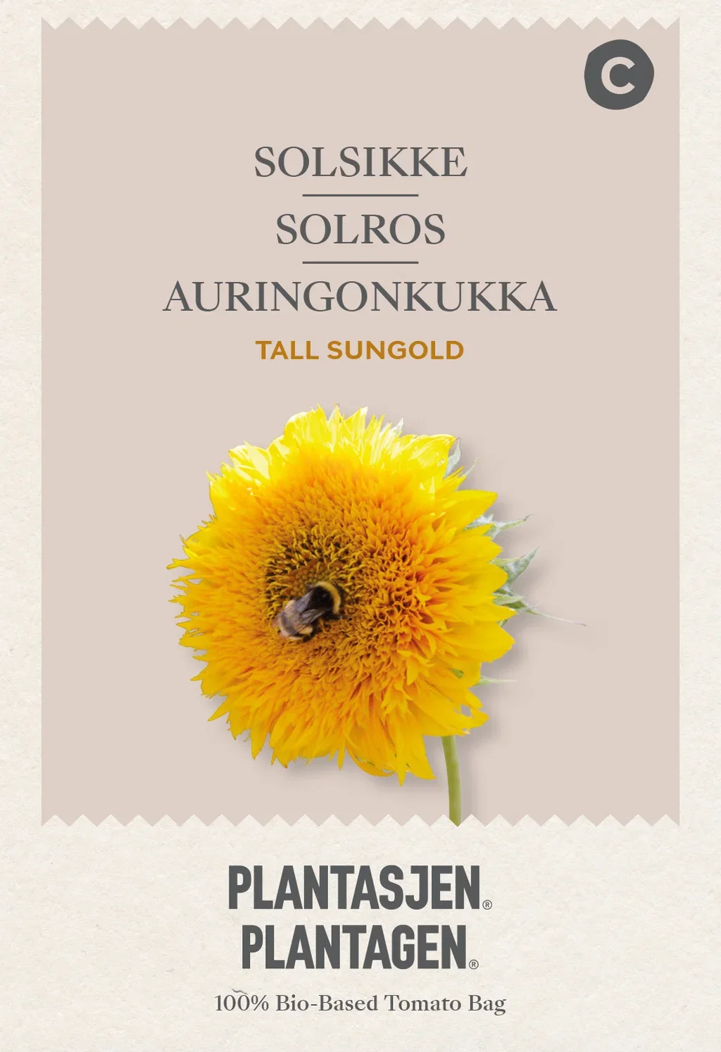 Helianthus annuss Solsikke Tall Sungold