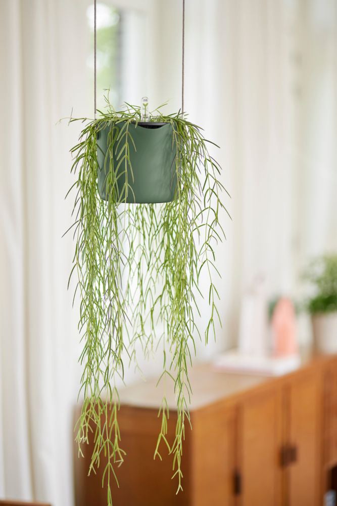 Elho hangpot B.for Swing groen 20,5 x 20 x 16,5 cm