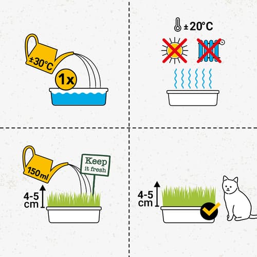 GimCat Hydro-Gras