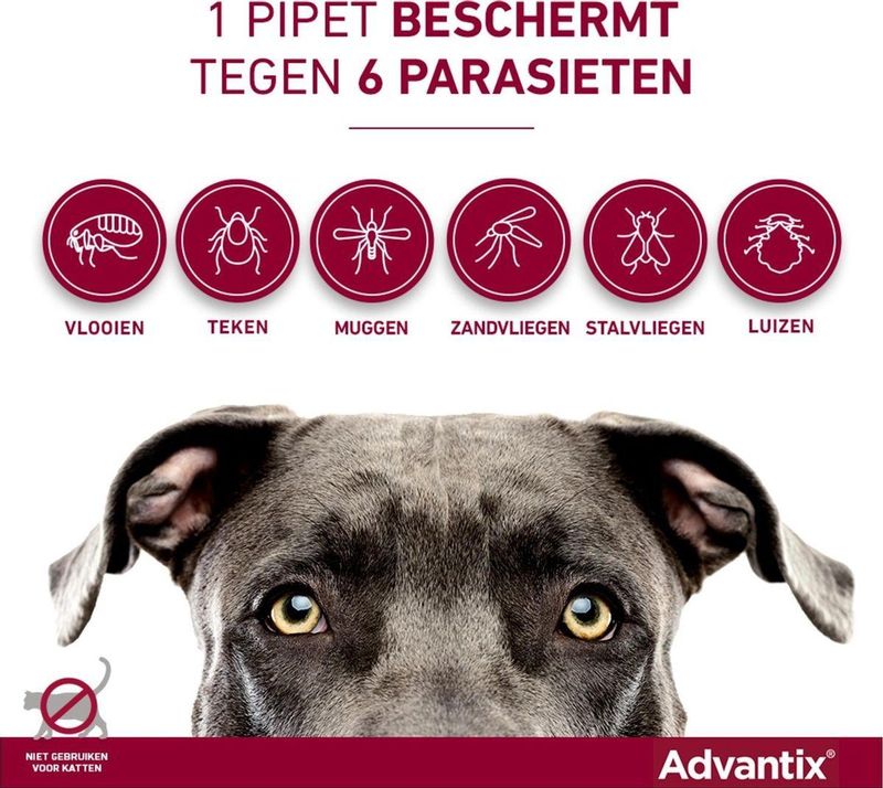 Bayer Advantix Vlooien & Teken Pipetten - Hond 40+ kg - 4 stuks