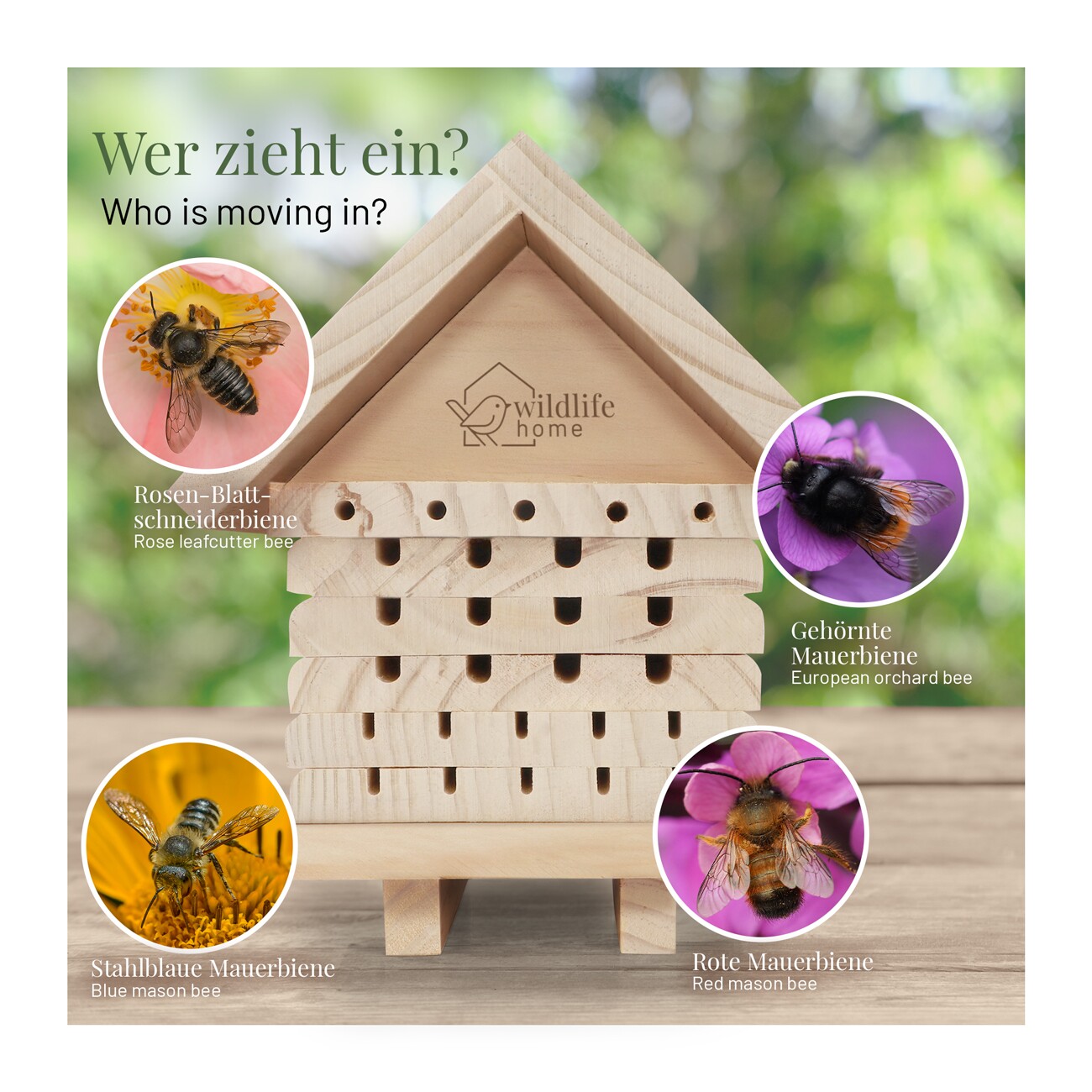 WILDLIFE HOME Bienenhotel