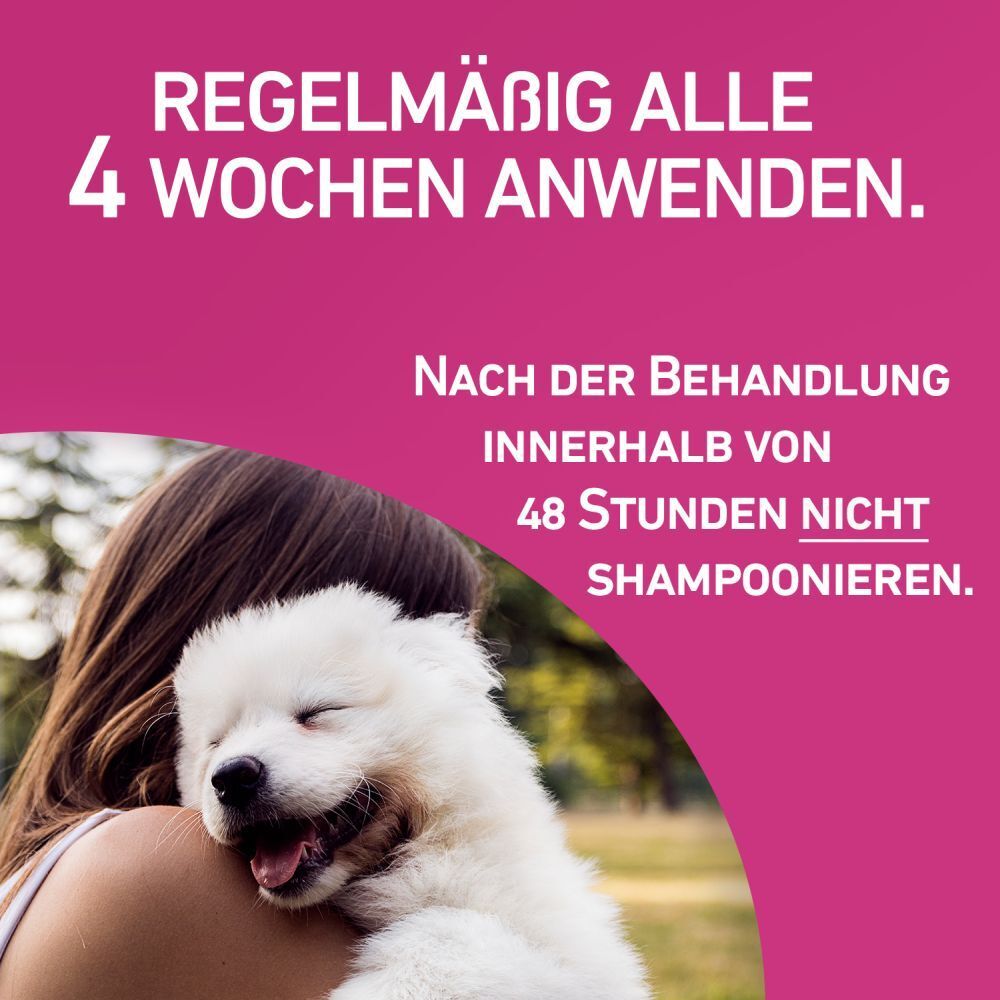 FRONTLINE TRI-ACT® gegen Zecken, Flöhe und fliegende Insekten beim Hund (20-40kg)