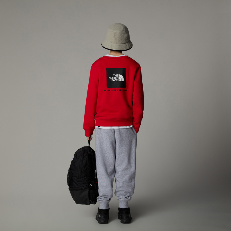 The North Face Kinder Teen Redbox Regular Crew Pullover